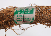 Bwg 21 ηλεκτρικός γαλβανισμένος ψευδάργυρος καλωδίων συνδέσεων σπειρών 1kg που ντύνεται