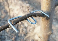 13CM μήκος Ζυγισμένο κλαδί δέντρου Εμπρός εργαλείο Furit Δέντρα Χρήση