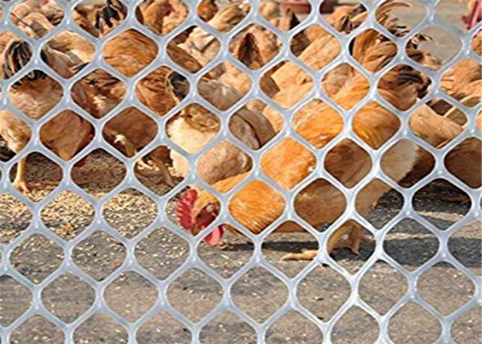 Η πλαστική αλιεία με δίχτυα πουλερικών αντοχής για τη σίτιση παπιών κοτόπουλου και το ζώο προστατεύουν